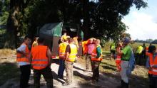 Sierpniowa akcja poszukiwawcza padłych dzików w ramach walki z ASF na terenie Nadleśnictwa Radzyń Podlaski