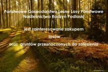 Ogłoszenie o możliwości zakupu lasów oraz gruntów przeznaczonych do zalesienia